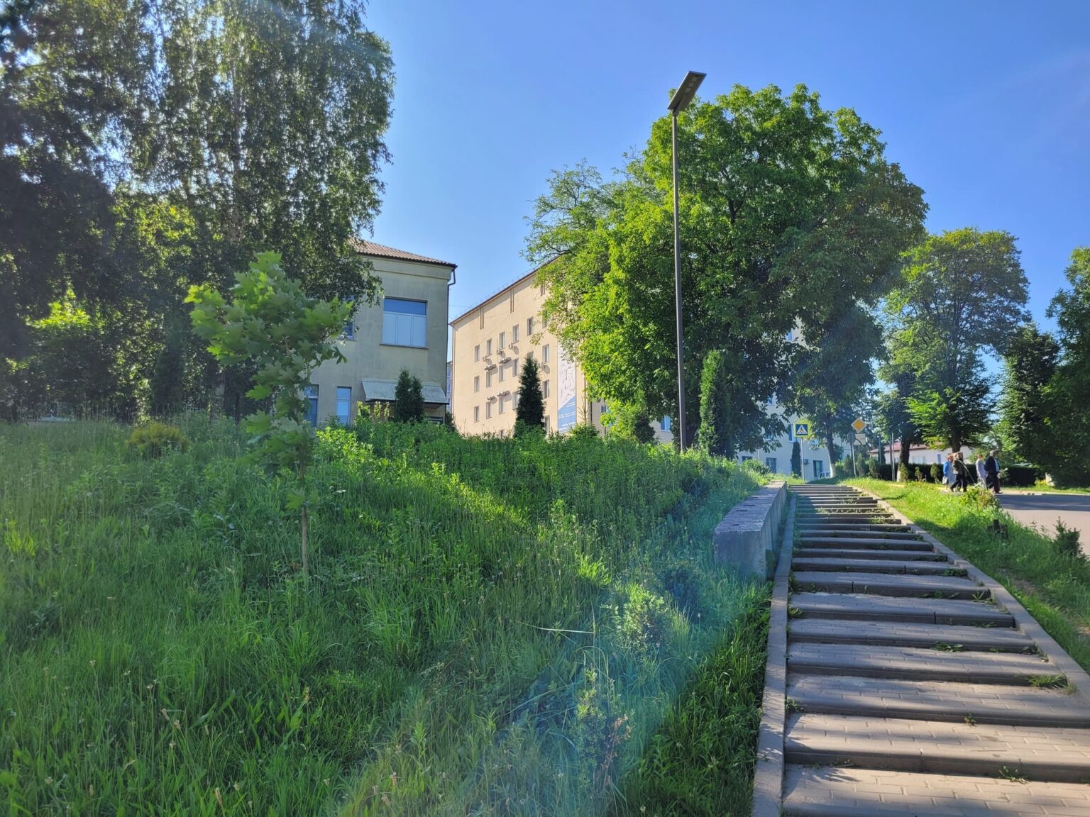 20250618_091840